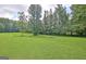 Expansive green backyard with mature trees providing privacy and shade at 5187 Lower Fayetteville Rd, Sharpsburg, GA 30277