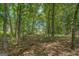 Secluded backyard view through the trees, featuring a well-maintained yard at 1041 Flat Rock Rd, Covington, GA 30014