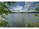 Scenic lake view framed by lush greenery showcases calm waters and distant treeline under a bright sky at 1041 Flat Rock Rd, Covington, GA 30014