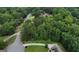 Lush aerial view of a neighborhood with mature trees, manicured lawns and winding roads, creating a serene environment at 81 Smokerise Pt, Peachtree City, GA 30269