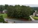 Scenic street view of a well-manicured lawn surrounded by mature trees, creating a serene and welcoming atmosphere at 81 Smokerise Pt, Peachtree City, GA 30269