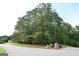 A serene street view showcasing mature trees with landscaped curb appeal and a brick mailbox at 81 Smokerise Pt, Peachtree City, GA 30269