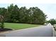 Street view of a lush green lawn with mature trees, enhancing the property's curb appeal and serene atmosphere at 81 Smokerise Pt, Peachtree City, GA 30269
