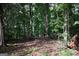 Secluded wooded lot with mature trees, natural ground cover, and peaceful ambiance at 81 Smokerise Pt, Peachtree City, GA 30269