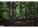 Picturesque wooded lot with sunlight filtering through the trees, ideal for nature enthusiasts at 81 Smokerise Pt, Peachtree City, GA 30269