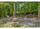 Lush, wooded backyard featuring mature trees, a picnic table, and natural landscaping at 3511 Cherry Blossom Ct, Loganville, GA 30052