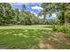 Lush green lawn with mature trees, offering a serene and expansive outdoor space at 522 Golfview, Peachtree City, GA 30269