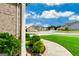 Landscaped walkway showcasing a beautiful lawn and inviting curb appeal at 209 Osier Dr, Mcdonough, GA 30252