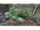 Garden featuring hydrangea bushes at 4710 Cedar Brook Se Dr, Conyers, GA 30094