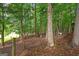 Serene wooded backyard with a fence, mature trees, and lush greenery at 9360 Ward Rd, Winston, GA 30187