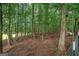 Land with a fenced area featuring trees and natural surroundings at 9360 Ward Rd, Winston, GA 30187