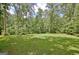Expansive backyard featuring a sprawling green lawn surrounded by mature trees, ideal for recreation and relaxation at 115 Shoal Creek Dr, Sharpsburg, GA 30277