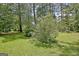Lush backyard featuring a well-manicured lawn and mature trees, offering a private and serene outdoor space at 115 Shoal Creek Dr, Sharpsburg, GA 30277
