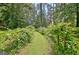 Lush grape orchard featuring rows of vines, offering a serene and picturesque view of the property at 115 Shoal Creek Dr, Sharpsburg, GA 30277