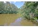 Peaceful lake view surrounded by trees, offering a serene and private setting for the property at 115 Shoal Creek Dr, Sharpsburg, GA 30277