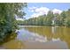 Scenic view of a lake surrounded by lush trees, reflecting the sky and adding to the property's tranquil setting at 115 Shoal Creek Dr, Sharpsburg, GA 30277