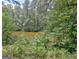 Scenic view of the tranquil pond surrounded by lush greenery, creating a peaceful natural setting at 115 Shoal Creek Dr, Sharpsburg, GA 30277