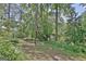 Picturesque view of the pond surrounded by mature trees, offering a tranquil natural setting at 115 Shoal Creek Dr, Sharpsburg, GA 30277