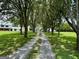 Long driveway lined with mature trees at 360 Morgan Mill Rd, Brooks, GA 30205