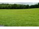 A vast expanse of verdant, gently sloping land under a tranquil sky at 360 Morgan Mill Rd, Brooks, GA 30205