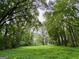 Lush green forest clearing with trees at 360 Morgan Mill Rd, Brooks, GA 30205