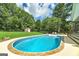 Enjoy this backyard's inground pool, lush greenery, and storage shed, perfect for outdoor living at 245 Edenwylde Ct, Hampton, GA 30228