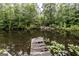Scenic view of a tranquil pond with a weathered wooden dock and lush greenery surrounding the water's edge at 300 Peggy Cole Bridge Rd, Villa Rica, GA 30180