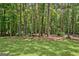 Secluded wooded area with towering trees and a lush green lawn, offering privacy and a natural setting at 40 Riverside Pkwy, Sharpsburg, GA 30277
