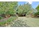 Lush backyard featuring a manicured lawn and a border of trees and shrubbery at 260 Bonnie Ln, Fayetteville, GA 30215