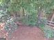 Large wooded backyard with mature trees and a view of nature, providing privacy and tranquility at 522 Blue Mountain Rise, Canton, GA 30114
