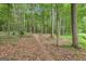 Wooded area with mature trees and a path, offering a tranquil and natural setting at 52 Cherub Ln, Sharpsburg, GA 30277