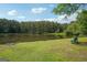Serene pond view with a bench, surrounded by lush greenery and mature trees at 1010 Capella Creek Way, Grayson, GA 30017