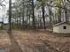 Spacious backyard with a storage building surrounded by mature trees at 110 Riley Ave, Fayetteville, GA 30214