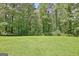 Expansive backyard with a well-maintained lawn, mature trees, and perimeter fencing for privacy at 1709 Reese Rd, Sharpsburg, GA 30277
