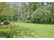 Spacious backyard featuring a lush lawn and mature trees, great for outdoor activities at 1709 Reese Rd, Sharpsburg, GA 30277