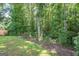 Lush backyard featuring mature trees and a serene, natural landscape at 65 Cold Harbor Ct, Sharpsburg, GA 30277