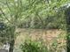 Scenic view of the pond surrounded by lush greenery offers a peaceful and private natural retreat at 1791 Little Fawn Nw Trl, Conyers, GA 30012
