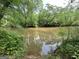 Scenic view of a calm river surrounded by lush greenery at 1791 Little Fawn Nw Trl, Conyers, GA 30012