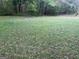 A shot of the back yard, filled with well-maintained grass and trees at 194 Bay Court Dr, Stockbridge, GA 30281