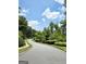 Scenic view of a quiet, tree-lined street with well-maintained landscaping and sidewalks at 206 Birchin Dr, Woodstock, GA 30188