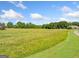 Expansive grassy land with mature trees on a sunny day, offering endless possibilities for development or recreation at 226 Euharlee Five Forks Rd, Kingston, GA 30145