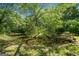 Picturesque pond with a charming bridge, surrounded by lush greenery, creating a serene and idyllic setting at 226 Euharlee Five Forks Rd, Kingston, GA 30145