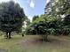 Backyard view with a fig tree, surrounded by a well-maintained lawn and mature trees at 610 Tower Rd, Peachtree City, GA 30269