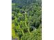 Overhead view of a home with trees in the front and back yards at 183 Inman Rd, Fayetteville, GA 30215