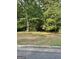 Cozy single-Gathering home surrounded by mature trees and green grass. House is secluded and perfect for nature lovers at 106 Amblewood Ct, Peachtree City, GA 30269