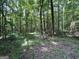 Picture of the property land featuring lush greenery and wooded areas at 5277 Scofield Rd, South Fulton, GA 30349