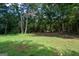 Verdant backyard with lush greenery and towering trees, offering a serene and private atmosphere at 396 Ebenezer Rd, Fayetteville, GA 30215