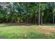 Natural, grassy backyard with lush greenery and mature trees offering shade and privacy at 396 Ebenezer Rd, Fayetteville, GA 30215