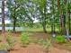 Scenic lake view featuring two kayaks, trees, and landscaping at 504 Ridgelake Dr, Peachtree City, GA 30269