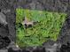 An aerial view shows this house with an expansive, lush green property surrounded by mature trees at 25 Ridgeview Dr, Jonesboro, GA 30236